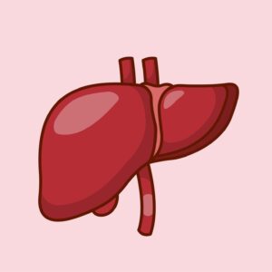 Healthy liver