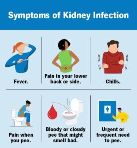 Pyelonephritis symptom